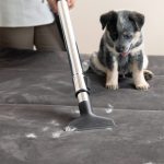 Aspiradora Karcher VCL 3 Ciclonica - Imagen 4