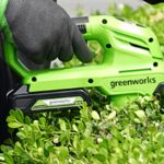 Batería Greenworks 24V - 2.0 AH - 2926707 - Imagen 2