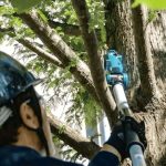 Podador De Altura 8" 18V LXT Makita DUA200Z - Sin Baterías - Imagen 4