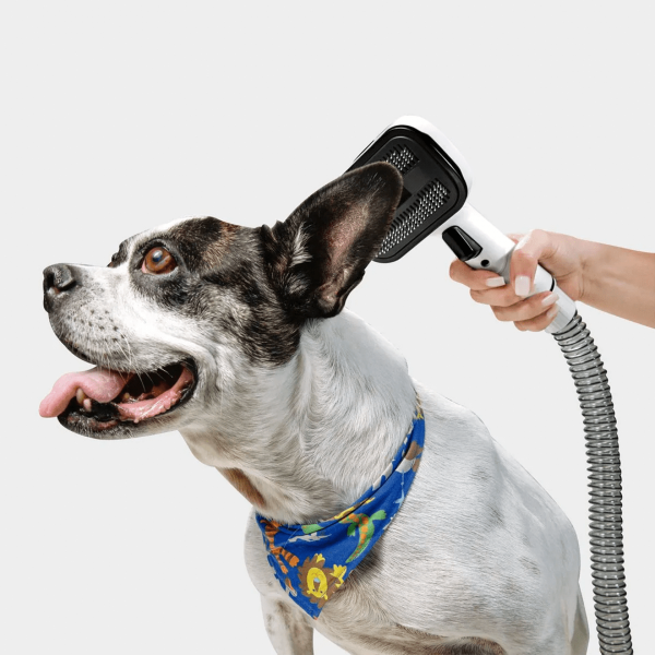Aspiradora  y Corta Pelos 5 en 1 Karcher Pet Clean 1,4  Lts - Imagen 3